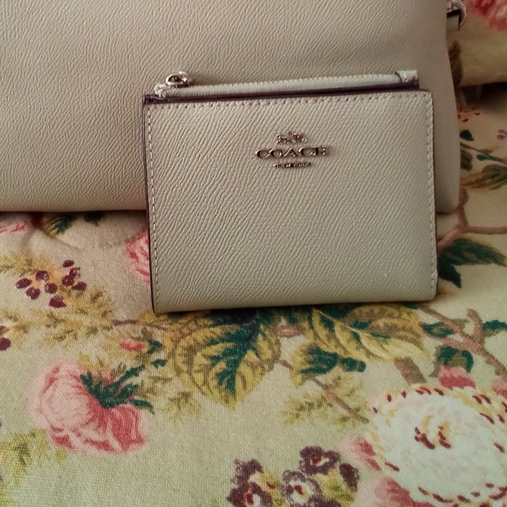 COACH WALLET PALE GREEN (Small)